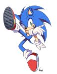  1boy no_humans sega sonic sonic_the_hedgehog vagabondwolves 