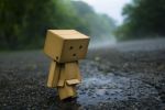  danbo figure highres photo road tree wallpaper water wet yotsubato! 