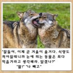  biting closed_eyes fangs field fur grass korean lowres original photo reference_photo roonhee translation_request wolf 