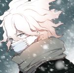  1boy black_jacket commentary_request covered_mouth dangan_ronpa dangan_ronpa_3 eyebrows_visible_through_hair face face_mask from_side green_eyes grey_scarf hair_between_eyes half-closed_eyes jacket komaeda_nagito looking_to_the_side male_focus mask messy_hair scarf shell_(shell518) short_hair snow solo super_dangan_ronpa_2 white_face_mask white_hair 