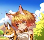  1girl 2804281484 absurdres animal_ears bare_shoulders bird blonde_hair blue_sky blurry bow bowtie breasts bush clouds depth_of_field elbow_gloves gloves hair_between_eyes head_tilt highres kemono_friends lips looking_at_viewer medium_breasts mountain outdoors serval serval_(kemono_friends) serval_ears serval_print shirt short_hair sky sleeveless sleeveless_shirt solo thick_eyebrows tree upper_body yellow_eyes 