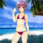  bikini blush brown_eyes flat_chest koomo_(pixiv148008) koumo nagato_yuki purple_hair short_hair suzumiya_haruhi_no_yuuutsu swimsuit 