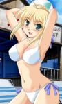  beachball bikini blonde_hair braid fate/stay_night fate_(series) green_eyes jpeg_artifacts lowres saber swimsuit 