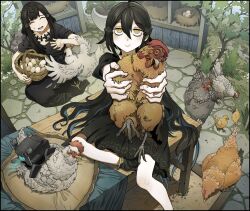  2girls anna_(girls&#039;_frontline) basket bird bird_nest black_dress black_hair black_shoes chick chicken chickenapple33 colored_skin dandelion_(girls&#039;_frontline) dinergate_(girls&#039;_frontline) dress egg flower girls_frontline grass hair_ornament highres holding holding_basket long_hair multiple_girls nest nyto_(girls&#039;_frontline) pillow plant potted_plant robot shoes stone_floor table tree white_flower white_skin wooden_table yellow_eyes 