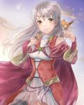  1girl bird bridal_gauntlets cape circlet closed_mouth clouds dress fire_emblem fire_emblem:_akatsuki_no_megami hair_tubes haru_(nakajou-28) long_hair micaiah nintendo silver_hair sky turtleneck yellow_eyes yune 