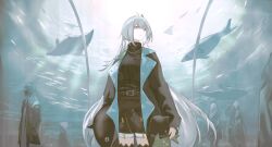  1other 3girls absurdres ahoge ambiguous_gender aquarium arknights belt black_coat black_jacket black_shorts black_sweater cellphone cloak coat cowboy_shot day doctor_(arknights) fish gladiia_(arknights) hair_intakes highres holding holding_phone holding_stuffed_toy hood hood_up hooded_cloak hooded_coat hooded_jacket indoors jacket jewelry long_hair multiple_girls necklace open_clothes open_jacket parted_lips phone ponytail red_eyes shorts skadi_(arknights) skadi_(the_next_afternoon_tea)_(arknights) smartphone specter_(arknights) standing stingray stuffed_animal stuffed_orca stuffed_shark stuffed_toy sweater taking_picture thigh-highs turtleneck underwater very_long_hair whale white_hair yuishironeko zettai_ryouiki 
