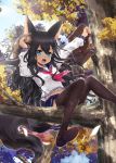 1girl animal_ears animal_hat black_hair black_legwear blue_eyes boots briefcase character_request commentary_request day falling fang fox_ears fox_tail garter_straps hair_between_eyes hat highres holding holding_briefcase holding_hat in_tree kaku-san-sei_million_arthur lace lace-trimmed_legwear long_hair million_arthur_(series) navel open_mouth school_uniform serafuku sitting sitting_in_tree sky smile solo tail thigh-highs tree wait 