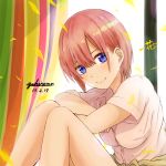  1girl artist_name bangs blue_eyes breasts cardigan_around_waist character_name commentary_request crossed_arms curtains dated elbows_on_knees feet_out_of_frame go-toubun_no_hanayome hair_between_eyes head_tilt highres indoors knees_up looking_at_viewer medium_breasts nakano_ichika parted_bangs petals pink_hair pink_shirt shiny shiny_hair shirt short_hair short_sleeves sitting smile solo striped window yukinemu 