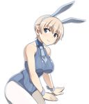  1girl animal_ears arm_support blonde_hair blue_eyes blue_leotard blue_neckwear brave_witches breasts collared_leotard commentary eyebrows_visible_through_hair fake_animal_ears halterneck large_breasts leaning_to_the_side leotard looking_at_viewer nanashino necktie nikka_edvardine_katajainen pantyhose rabbit_ears ribbed_leotard shadow short_hair simple_background sitting solo thighs very_short_hair white_background white_legwear world_witches_series wrist_cuffs 