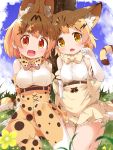  2girls :d animal_ear_fluff animal_ears bare_shoulders blonde_hair blue_sky blush bow bowtie breasts brown_eyes cat_ears cat_girl cat_tail clouds cloudy_sky commentary_request day elbow_gloves fang feet_out_of_frame gloves grass hand_up high-waist_skirt highres kemono_friends makuran medium_breasts multiple_girls on_grass open_mouth outdoors print_gloves print_legwear print_neckwear print_skirt sand_cat_(kemono_friends) sand_cat_print serval_(kemono_friends) serval_ears serval_print serval_tail shirt shoes sitting skirt sky sleeveless sleeveless_shirt smile striped_tail tail tail_raised thigh-highs tree white_footwear white_gloves white_shirt 
