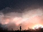  1other clouds commentary floating_hair from_side gun gun_on_back light_particles meeu0biss original outdoors plant scenery short_hair silhouette sky solo standing star_(sky) starry_sky sunset weapon weapon_on_back wide_shot 