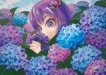  1girl absurdres bangs blue_flower blue_sky clouds cloudy_sky day flower hair_ornament highres holding holding_flower hydrangea kinosuke_(pattaba) leaf outdoors plant purple_flower purple_hair signature sky smelling_flower solo violet_eyes voiceroid yuzuki_yukari 