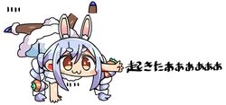  1girl :3 animal_ears bangs blue_footwear blue_hair blush bow braid brown_eyes brown_legwear bunny_girl bunny_tail carrot_hair_ornament chibi closed_mouth don-chan_(hololive) dress eyebrows_visible_through_hair food_themed_hair_ornament full_body fur-trimmed_dress fur_trim hair_between_eyes hair_bow hair_ornament handstand hololive kanikama lowres multicolored_hair pantyhose puffy_short_sleeves puffy_sleeves rabbit_ears short_eyebrows short_sleeves sidelocks simple_background tail thick_eyebrows translation_request twin_braids twintails two-tone_hair usada_pekora virtual_youtuber white_background white_bow white_dress white_hair 