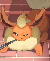  animal_focus closed_mouth flareon highres hokaimo_pkmn leash leash_pull no_humans pokemon pokemon_(creature) shadow smile solo standing twitter_username 