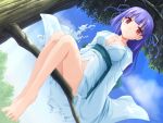  barefoot blue_hair breasts cleavage f&amp;c game_cg in_tree izumi_yuujirou japanese_clothes kimono long_hair red_eyes sitting sitting_in_tree torn_clothes tree trees 