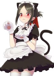  1girl alternate_costume animal_ears apron bangs black_dress blush brown_hair cat_ears cat_girl cat_tail collared_shirt dress enmaided eyebrows_visible_through_hair folded_ponytail gloves hair_ribbon highres jd_(bibirijd) kaguya-sama_wa_kokurasetai_~tensai-tachi_no_renai_zunousen~ kemonomimi_mode looking_at_viewer maid maid_headdress nose_blush parted_bangs paw_gloves paws puffy_short_sleeves puffy_sleeves red_eyes red_ribbon ribbon shinomiya_kaguya shirt short_sleeves sidelocks simple_background solo tail tail_raised thigh-highs waist_apron white_apron white_background white_legwear white_shirt 