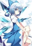  1girl bangs blue_bow blue_dress blue_eyes blue_hair bow breasts cirno dress eyebrows_visible_through_hair feet_out_of_frame from_side hair_between_eyes hair_bow highres ice ice_wings knee_up looking_at_viewer neck_ribbon paburisiyasu parted_lips pinafore_dress puffy_short_sleeves puffy_sleeves red_neckwear red_ribbon ribbon shirt short_hair short_sleeves small_breasts solo sparkle touhou white_background white_shirt wing_collar wings 