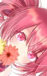  1girl close-up commentary_request covered_mouth dot_nose drill_hair expressionless eyebrows_visible_through_hair eyelashes face flower hair_between_eyes highres kasane_teto looking_at_viewer red_eyes red_flower redhead simple_background solo twintails upper_body upside-down utau white_background xaruex yellow_flower 
