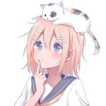  1girl animal animal_on_head bangs blonde_hair blue_eyes calico cat cat_on_head finger_to_mouth hair_between_eyes hair_ornament hairpin kagamine_rin light_frown mimengfeixue neckerchief on_head school_uniform serafuku short_hair simple_background solo upper_body vocaloid white_background 