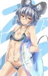  1girl animal_ear_fluff animal_ears bikini black_bikini breasts commentary covered_nipples cowboy_shot doughnut_innertube eyebrows_visible_through_hair grey_hair innertube looking_at_viewer mouse_ears mouse_tail nazrin ototobe red_eyes see-through short_hair small_breasts solo swimsuit tail touhou 