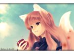  apple apples bad_id brown_hair food fruit holding holding_fruit holo long_hair red_eyes saki_(pixiv303252) spice_and_wolf tail wolf_ears 