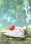  ashes blue_sky chima_q commentary_request death forest grass hat hat_ribbon mob_cap nature no_humans outdoors pink_hat red_ribbon remilia_scarlet ribbon sky touhou tree 