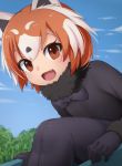  1girl :d animal_ears black_bow black_gloves black_legwear blush bow brown_eyes day eyebrows eyebrows_visible_through_hair fang fur_collar gloves kemono_friends lesser_panda_(kemono_friends) looking_at_viewer multicolored_hair nyifu open_mouth orange_hair outdoors pantyhose red_panda_ears short_hair sitting slide smile solo white_hair 