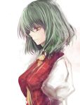  between_breasts bust clothes_between_breasts green_hair kazami_yuuka light_smile plaid plaid_vest profile puffy_sleeves red_eyes short_hair skirt tetsuo touhou white_background 
