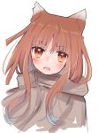  1girl animal_ears bangs blush brown_hair cloak commentary eme_(emeralda) eyebrows_visible_through_hair fang highres holo long_hair looking_at_viewer open_mouth red_eyes spice_and_wolf white_background 