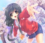  1girl bag black_hair blue_eyes blue_skirt brown_eyes cherry_blossoms clannad commentary_request cowboy_shot foreshortening ibuki_fuuko jacket long_hair looking_at_viewer low-tied_long_hair official_art open_mouth outstretched_arms petals red_jacket satomi_yoshitaka skirt smile solo star tree 