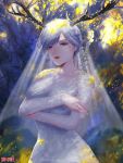  1girl antlers breasts cleavage crossed_arms dairoku_youhei dress looking_at_viewer medium_breasts official_art outdoors parted_lips solo veil violet_eyes white_dress white_hair 