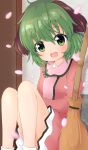  1girl :3 :d absurdres against_wall animal_ears arm_rest blurry blush broom chinoru commentary_request depth_of_field dress eyebrows_visible_through_hair eyes_visible_through_hair fang feet_out_of_frame green_hair hair_between_eyes head_tilt highres kasodani_kyouko looking_at_viewer open_mouth petals petticoat pink_dress shiny shiny_hair short_hair sitting smile solo symbol_commentary touhou white_legwear 
