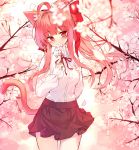  1girl absurdres ahoge animal_ear_fluff animal_ears bangs blurry blurry_foreground blush bow breasts brown_skirt cat_ears cat_girl cat_tail cherry_blossoms collared_shirt commentary depth_of_field dress_shirt eyebrows_visible_through_hair flower hair_bow hair_intakes hand_up head_tilt high_ponytail highres holding holding_flower long_hair neck_ribbon original petals pink_flower pink_hair pleated_skirt ponytail red_bow red_eyes red_ribbon ribbon shirt skirt small_breasts solo symbol_commentary tail tail_raised tandohark tree_branch very_long_hair white_flower white_shirt 
