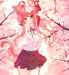  1girl absurdres ahoge animal_ear_fluff animal_ears bangs blurry blurry_foreground blush bow breasts brown_skirt cat_ears cat_girl cat_tail cherry_blossoms collared_shirt commentary depth_of_field dress_shirt eyebrows_visible_through_hair flower hair_bow hair_intakes hand_up head_tilt high_ponytail highres holding holding_flower long_hair neck_ribbon original petals pink_flower pink_hair pleated_skirt ponytail red_bow red_eyes red_ribbon ribbon shirt skirt small_breasts solo tail tail_raised tandohark tree_branch very_long_hair white_flower white_shirt 