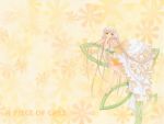  chii chobits clamp tagme your_eyes_only 