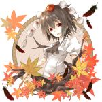  black_hair hat leaf leaves sasaki_kouhei shameimaru_aya shirokuro short_hair touhou 