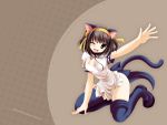  1024x768 brown_hair cat_ears cat_tail dress hairband kneeling namamo_nanase short_hair suzumiya_haruhi suzumiya_haruhi_no_yuuutsu tail thigh-highs thighhighs tomoeda wallpaper wink yellow_eyes 