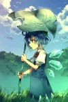  blue_hair cirno cloud grass leaf_umbrella profile ribbon short_hair sky standing sunakumo touhou wet wings 