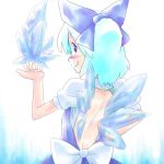  element_bender ice monolith touhou wings 