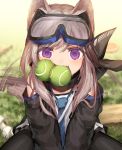  1girl animal_ears arknights ball blurry blurry_background commentary dated detached_sleeves dog_ears dog_tail eyewear_on_head googles grey_hair jakoujika looking_at_viewer medium_hair necktie pantyhose scarf sitting solo tail tail_wagging tennis_ball violet_eyes 
