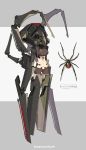  1girl black_widow_(spider) braid brown_hair bug dual_wielding extra_arms grey_background headgear holding mecha_musume midriff no_feet original shorts signature spider sword two-tone_background weapon zenmaibook 