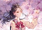  1girl black_hair blurry blurry_foreground blush bow bowtie brown_cardigan brown_eyes buttons cherry_blossoms closed_mouth collared_shirt depth_of_field floating_hair flower hair_flower hair_ornament hand_up holding holding_flower holding_umbrella kiwikong long_hair long_sleeves looking_up naver_username original pink_flower red_neckwear school_uniform shirt sidelocks smile solo tree_branch umbrella upper_body white_shirt 