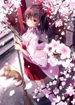  1girl alternate_costume bangs blush bow branch breasts broom brown_hair cat cherry_blossoms commentary_request eyebrows_visible_through_hair feet_out_of_frame from_above hair_bow hair_tubes hakama_skirt hakurei_reimu highres holding holding_broom hyurasan japanese_clothes kimono long_sleeves looking_at_viewer miko outdoors petals red_bow red_eyes red_skirt ribbon-trimmed_sleeves ribbon_trim short_hair sidelocks skirt small_breasts solo standing thigh-highs touhou translation_request white_kimono white_legwear wide_sleeves zettai_ryouiki 