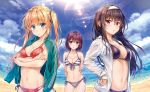  3girls arm_behind_back bangs beach bikini black_hair blonde_hair blue_eyes breasts brown_eyes brown_hair clouds cowboy_shot crossed_arms day dress_shirt fisheye front-tie_top green_jacket hairband hands_on_hips highres jacket jacket_on_shoulders kasumigaoka_utaha katou_megumi kotatsu_(kotatsu358) lens_flare long_hair looking_at_viewer medium_breasts multi-strapped_bikini multiple_girls navel open_clothes open_jacket outdoors purple_bikini red_bikini red_eyes saenai_heroine_no_sodatekata sawamura_spencer_eriri shirt short_hair side-tie_bikini small_breasts standing striped striped_bikini swimsuit thigh_gap twintails 