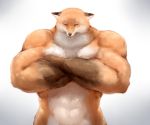  abs animal_focus closed_eyes crossed_arms fox gradient gradient_background grey_background highres meme muscle no_humans original simple_background solo sukemyon upper_body 