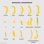  absurdres banana chart english_text erraineon food fruit grey_background highres no_humans original simple_background still_life twitter_username 