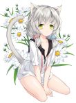  1girl animal_ear_fluff animal_ears bangs between_legs blush cat_ears cat_girl cat_tail collared_shirt commentary_request eyebrows_visible_through_hair fingernails flower green_eyes hair_between_eyes hair_over_shoulder hand_between_legs juna long_hair looking_at_viewer low_twintails original parted_lips pink_ribbon ribbon seiza shirt short_twintails silver_hair simple_background sitting solo tail tail_raised twintails white_background white_flower white_shirt 