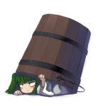  bucket green_hair hiding in_bucket in_container kisume shiden short_hair touhou 