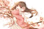  1girl :d arm_up bangs bare_shoulders blurry blush brown_hair cherry_blossoms commentary day depth_of_field eyebrows_visible_through_hair flower from_side green_eyes hair_flower hair_ornament holding holding_flower jacket kh_(kh_1128) long_hair long_sleeves looking_at_viewer looking_to_the_side off_shoulder open_clothes open_jacket open_mouth original outdoors panties pink_flower pink_jacket smile solo tareme tree_branch underwear upper_body white_panties 