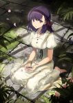  1girl bare_arms barefoot black_ribbon breasts buttons collared_dress commentary_request dress fate/stay_night fate_(series) full_body grass hair_ribbon heaven&#039;s_feel indoors long_hair looking_at_viewer matou_sakura medium_breasts nagu parted_lips plant puffy_short_sleeves puffy_sleeves purple_hair red_ribbon ribbon short_sleeves sitting solo violet_eyes wariza white_dress 